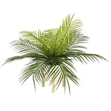 Flair Flower Farn Palme Areca im Topf mit Holzgestell Zimmerpflanze groß künstlich Pflanze Grünpflanze Topfpflanze Goldfruchtpalme Kunstpflanzen Palmenbaum Kunstpalme Busch Sträucher, grün, 40x53x53cm, 151627GN