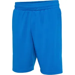 hummel hmlTE FLEX Mesh Shorts Herren 7169 - daphne L