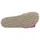 Verbenas Rocio Roda fuchsia 36