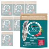 Purina One Bifensis Adult 8x800g Trockenfutter für Katzen mit Rindfleisch