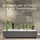 Babor Hydro Filler Serum 30 ml