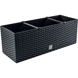 Prosperplast Blumenkasten Rato 60 x 24,5 x 24 cm anthrazit