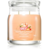 Yankee Candle Mango Ice Cream