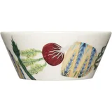 Iittala Taika Sato Mehrfarbig 2-tlg.