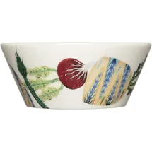 Iittala Taika Sato Mehrfarbig 2-tlg.
