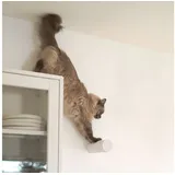 LucyBalu Katzen-Kletterwand Hüpfstamm und Kletterstufe JUMPER LITE, Katzen Kratzstufe aus hochwertigem Papierseil weiß