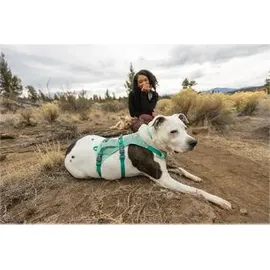 Ruffwear Flagline Hundegeschirr sage green M
