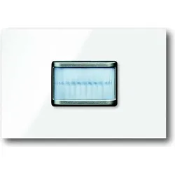 Busch-Jaeger Bewegungsmelder prion 6345-24G-101 2CKA006310A0020