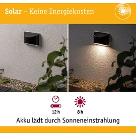 Paulmann Elliot Solar Wandleuchte 0.05W schwarz 94233