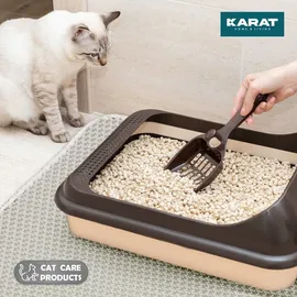 Karat Katzenstreumatte Charly 61 x 38 cm grau
