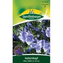 Quedlinburger Natternkopf Blau