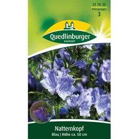 Quedlinburger Natternkopf Blau