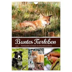 Buntes Tierleben (Wandkalender 2025 DIN A4 hoch), CALVENDO Monatskalender