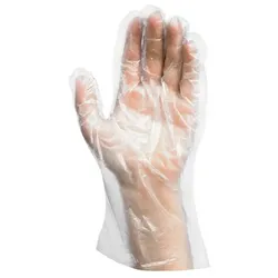 5000 Handschuhe (HDPE) Einweg transparent Gr. L im Spenderkarton