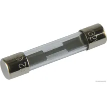 Herth+Buss HERTH&BUSS Sicherung, Glas, F flink, 6,3 x 32mm, 250V max. - 50295155