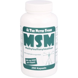 Msm 500mg Methylsulfonylmethan 250 ST