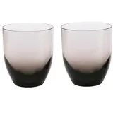 Travellife Feria Trinkglas 0,3 l 2 St.