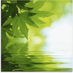 Artland Glasbild »Grüne Blätter reflektieren im Wasser«, Blätter, (1 St.), in verschiedenen Größen Artland Farbe Bild(er): grün