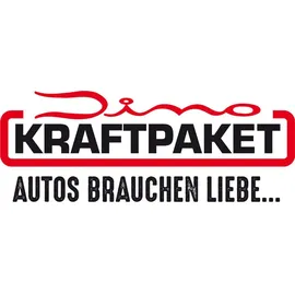Dino Kraftpaket 25A 12V