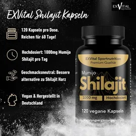 Exvital Mumijo Shilajit Kapseln 1000 mg 74 g