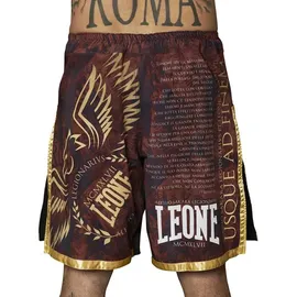 Leone 1947 Legionarivs II Bordeaux XL