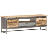 vidaXL TV-Schrank 120 x 30 x 40 cm Massivholz Mango