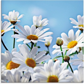 Artland Glasbild »Blumen - Margeriten«, Blumen, (1 St.), weiß