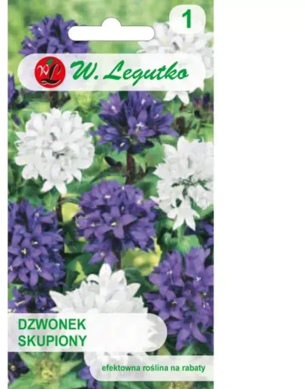Konzentrierter Glockenton – Mischung