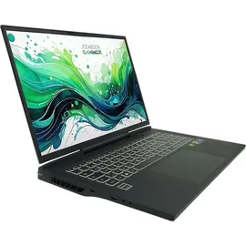 JodaBook Gaming X N17 17'' Intel Core i9-14900HX 64 GB RAM 4 TB SSD RTX 4080 Win11 Pro & Office 2024 Pro