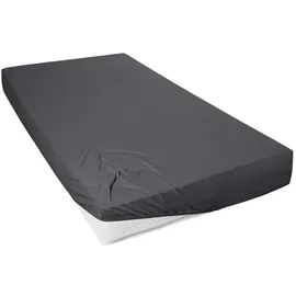 H. G. Hahn Spannbettlaken Jersey 120 x 200 cm grau
