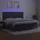 vidaXL Boxspringbett mit Matratze & LED Dunkelgrau 200x200 cm Samt