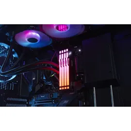 Kingston FURY Beast RGB DDR5 6000MT/s 8GB Modul (1x8GB) CL30 Schwarz KF560C30BBEA-8