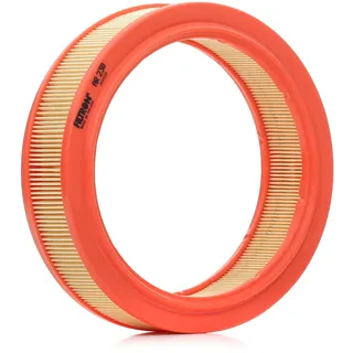 Filtron AR230
