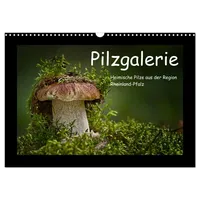 Calvendo Pilzgalerie - Heimische Pilze aus der Region Rheinland-Pfalz