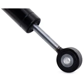 FEBI bilstein 08778 Schwingungsdämpfer Keilrippenriemen