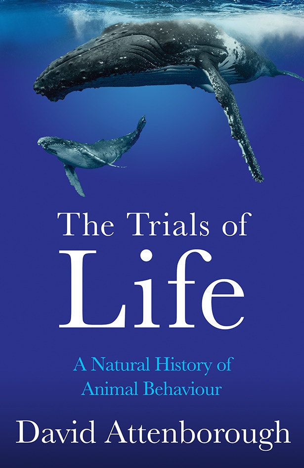 The Trials Of Life - David Attenborough  Kartoniert (TB)