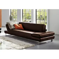 3-Sitzer W.SCHILLIG "taboo Designsofa mit hohem Sitzkomfort, Breite 232cm, Sitztiefe 59cm", braun (mocca z69), B:232cm H:76cm T:91cm, Flachgewebe S22 (100% Polyester);Stoff S37 (100% Polyester): Luxus-Microfaser in Lederoptik;Longlife Xtra-Leder Z59: Glattleder mit modischer Prägung. Hautstärke 0, 9 - 1, 1 mm;Longlife Xtra-Leder Z69: Das feinnarbige, gedeckte Softleder Z69 besticht durch seine außergewöhnliche Weichheit im trendigen »Vintage-Look«, Hautstärke 0, 9 - 1, 1 mm, Sofas, mit Normaltiefe,