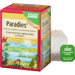 Paradies Vitamin C-Früchtetee Salus Filterbeutel 15 St