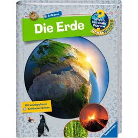 Ravensburger CreArt Malen nach Zahlen 1 St. Hunde und Katze