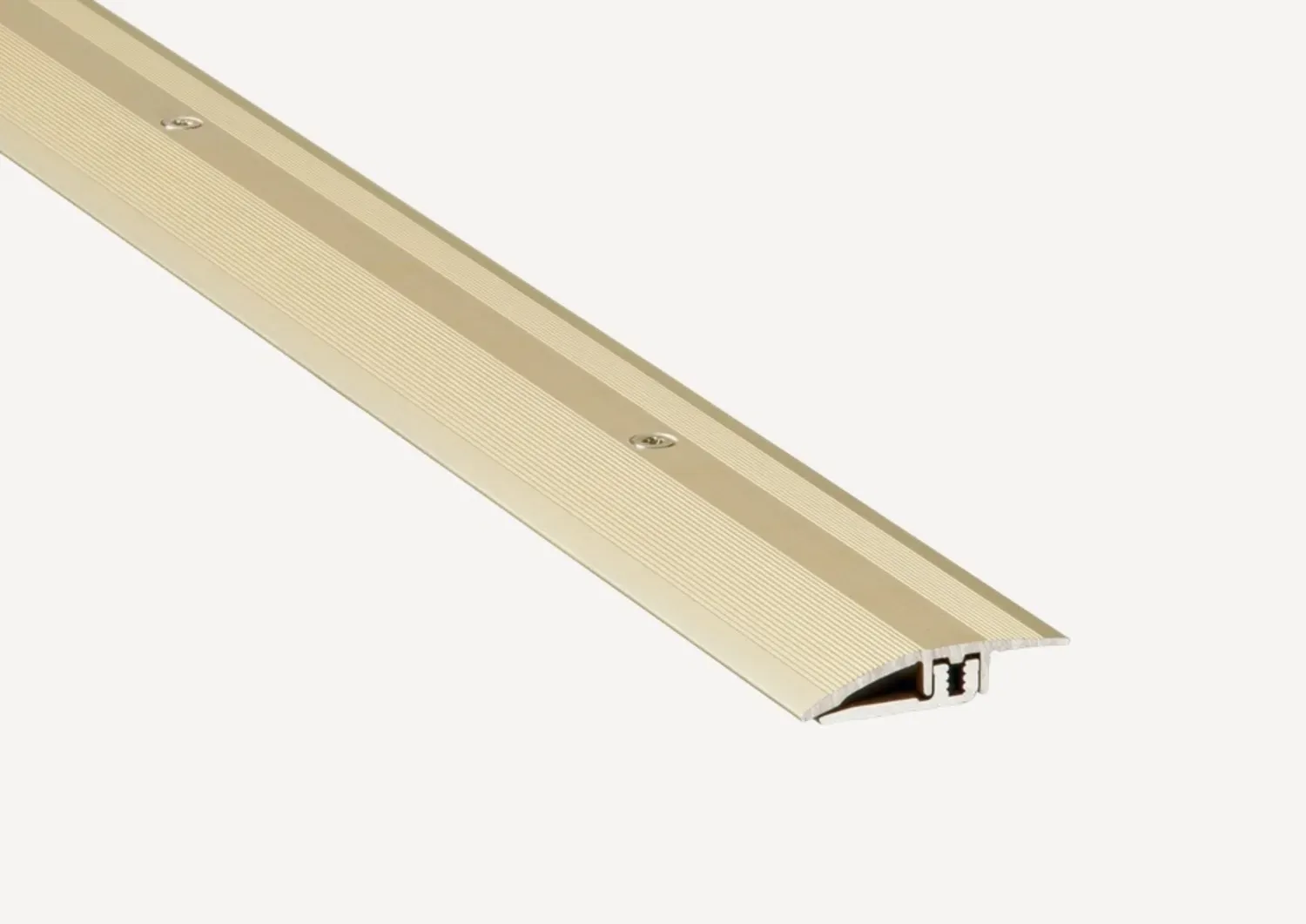 ter Hürne Leisten Anpassungsprofil Typ ANS 037 2,5-7mm Sand 2700x35x1 mm