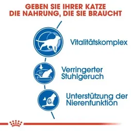 Royal Canin Indoor +7 3,5 kg