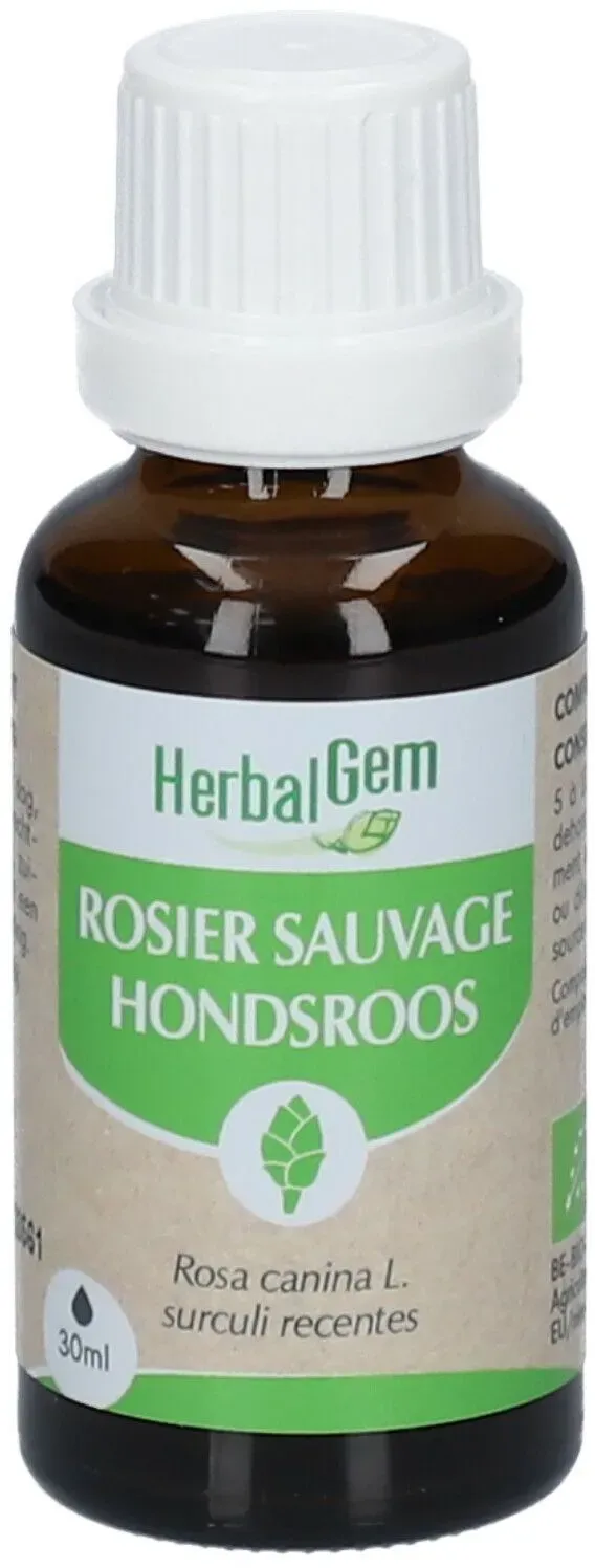 Herbalgem - Wildrose Bio - Nahrungsergänzungsmittel - Frischer Knospenextrakt - Für natürliche Abwehrkräfte - - 30 ml