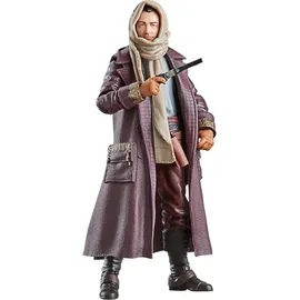 Hasbro Star Wars: Skeleton Crew Actionfigur Jod Na Nawood 15 cm - Braun