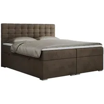 MKS Boxspringbett 160 x 200 cm H4 Braun