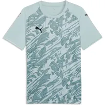 Puma teamFINAL Graphic weiß/gruenschwarz L