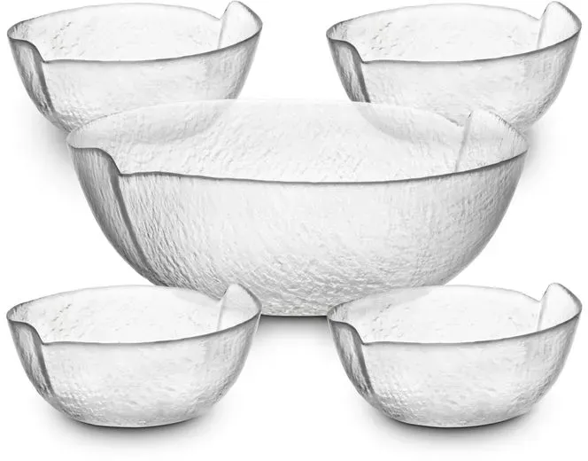 Van Well Schale Lago 5tlg. Glas Transparent Klar
