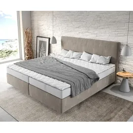 DeLife Dream-Well Mikrofaser 200 x 200 cm H2 beige