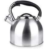 ORION Wasserkessel Induktion 2,7 L - Edelstahl Flötenkessel für Gas & Induktion - Automatisches Pfeifenöffnen - Wärmeschutzgriff - Modernes Design - Geeignet für Alle Herdarten - Ø 19 cm x H 22 cm