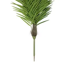 Europalms Phönixpalme luxor, 150cm