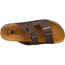 LICO Bioline Concrete Braun